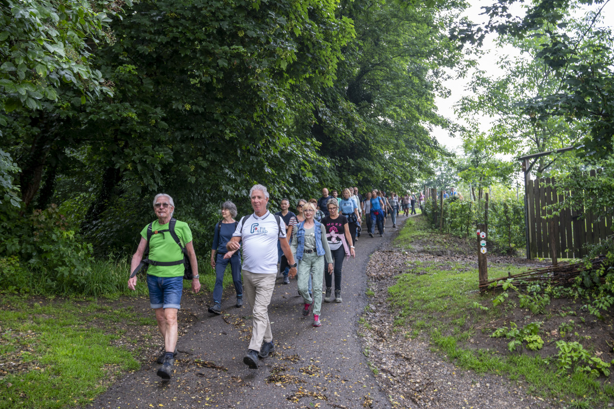 Wandelen william